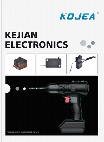 KEJIAN ELECTRONICS  2023